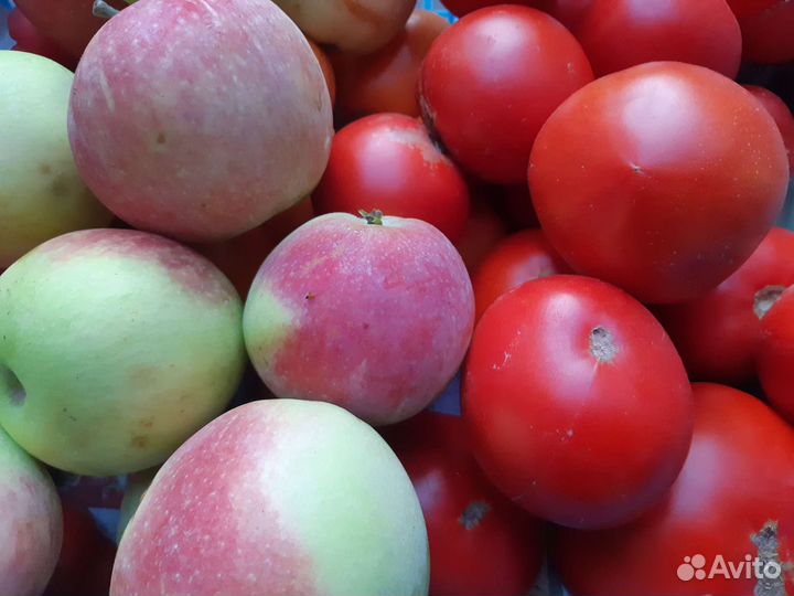 Домашние Яблоки, Десертный виноград,Помидоры