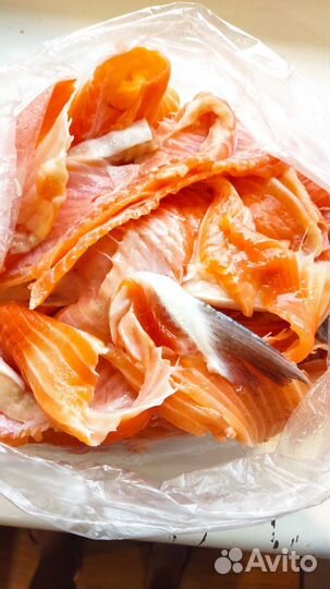 Хребты семги