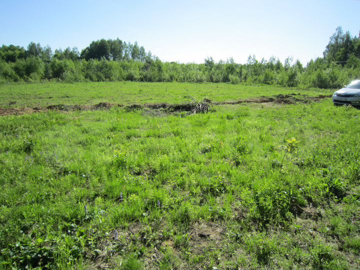 Участок 10 сот. (ИЖС)