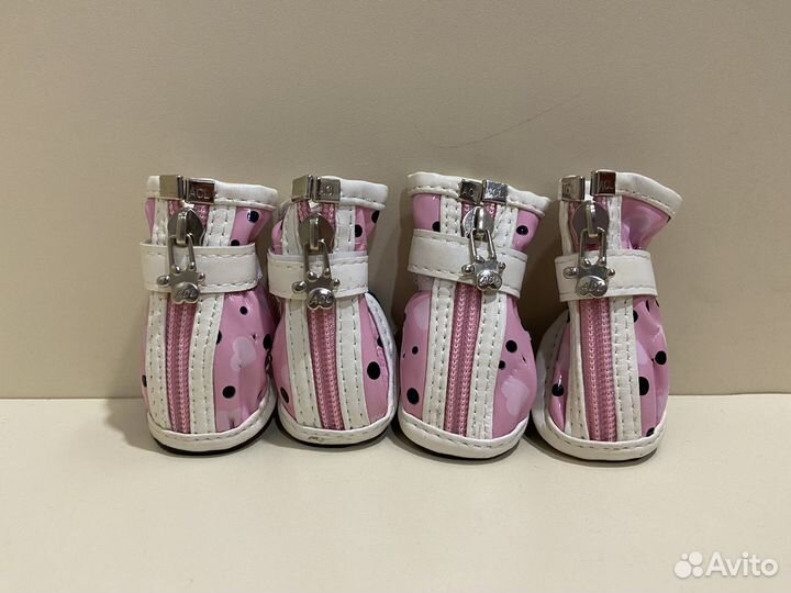 Обувь для собак мелких пород