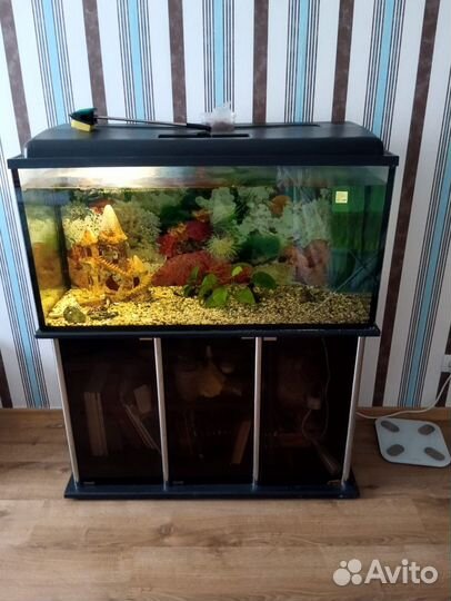 Аквариум с тумбой и фильтром