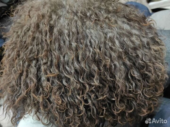 Бурки папахи папаха кавказская