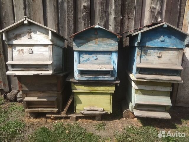 Ульи пчелиные, рамки  в Верхе-Чебуле | Животные и зоотовары | Авито