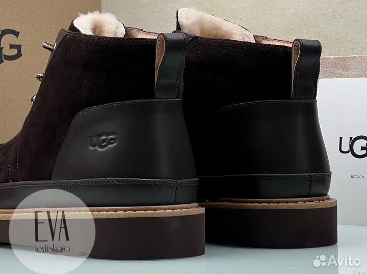 Мужские ботинки Ugg Neumel Gentleman Chocolate