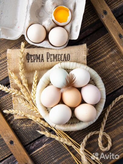 Яйцо куриное домашнее