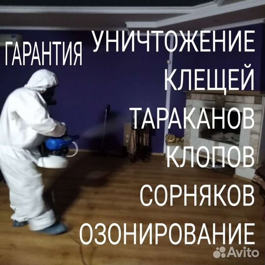 Уничтожение клопов, клещей, травля тараканов