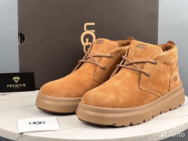 Ботинки UGG Burleigh Chukka Chestnut