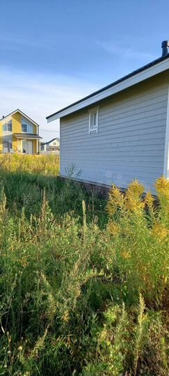 Дом 55 м² на участке 7,7 сот.