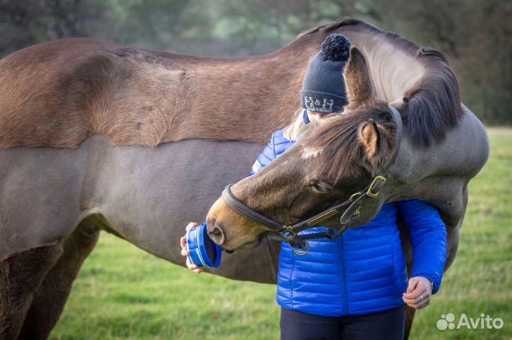 HorseLux Ликит для стрейчинга лошади