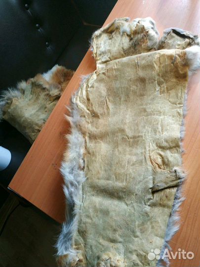 Шкура лисы,мех, воротник из лисы