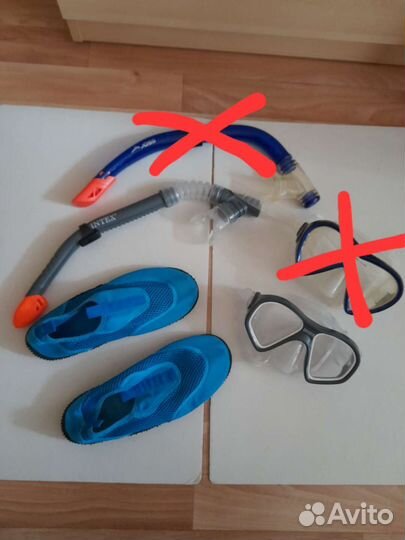 Аквашузы коралловые