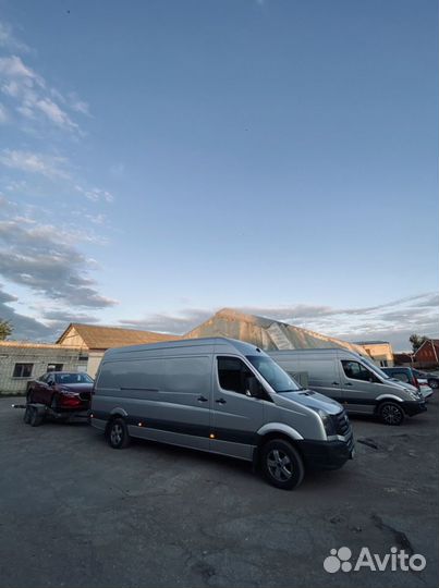 Псков-Санкт-Петербург (попутно), 5 раз в неделю