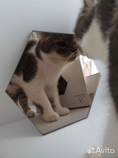 Зеркало Хонефос/Honefoss Ikea/ одно из 10, серое