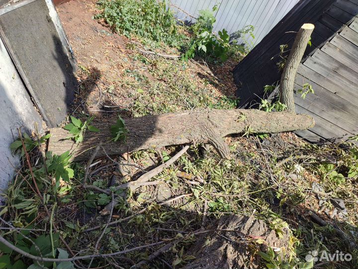 Дрова бесплатно самовывоз