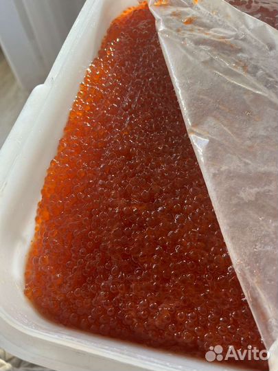 Красная икра кеты 2023г розница/Опт