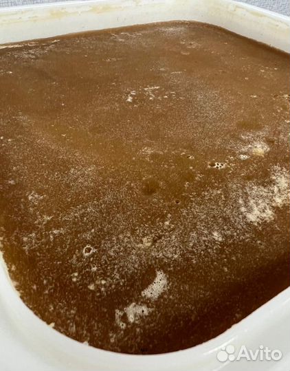 16 kg мёда 24 года из Алтая опт