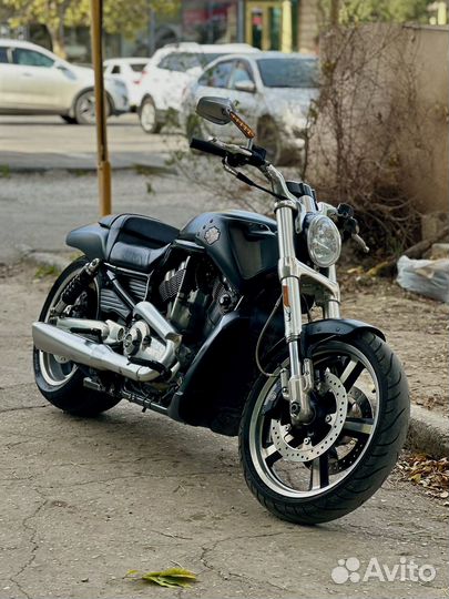 Harley Davidson v rod