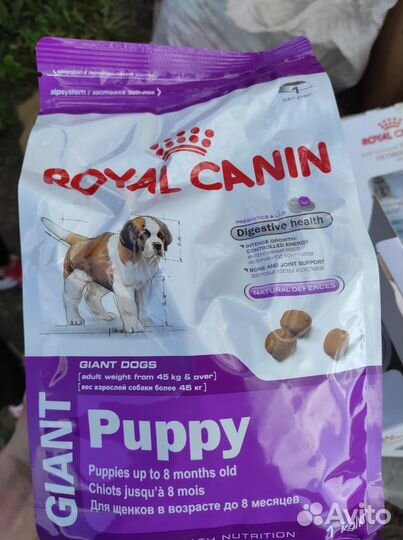 Продам корм для животных марки royal canin