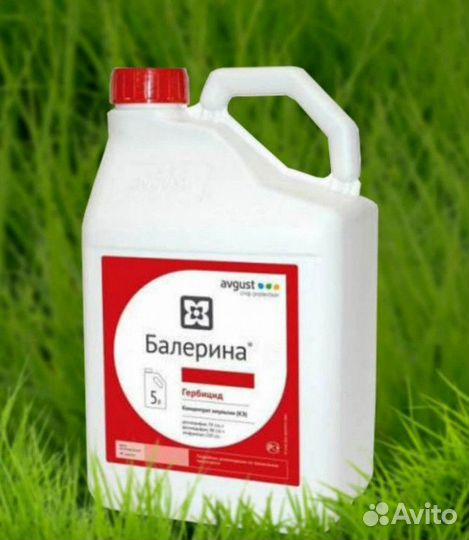 Балерина, сэ