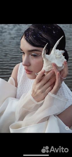 Ракушка морская большая