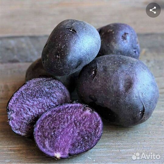 Фиолетовый картофель на посадку
