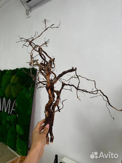 Коряги и корни для творчества и интерьера