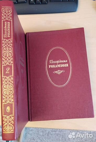 Книги Чэйз, Золя, Дюма, дон Кихот, сага о форса