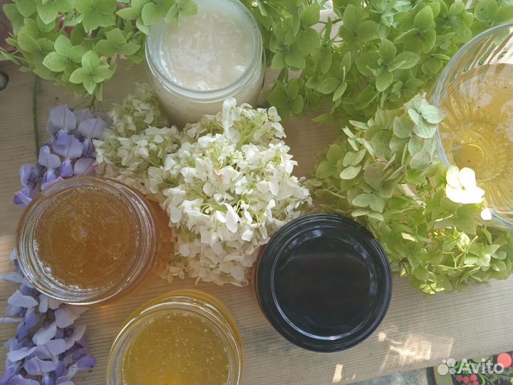 Продаю мед натуральный (рапсовый, каштановый, липа