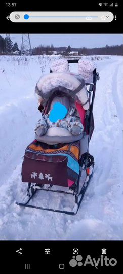Коляска санки