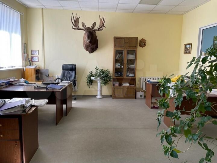 Офис в тихом центре, 90.5 м²