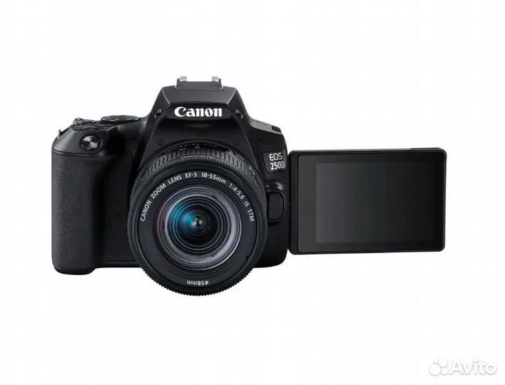 Зеркальный фотоаппарат Canon EOS 250D kit (EF-S 18