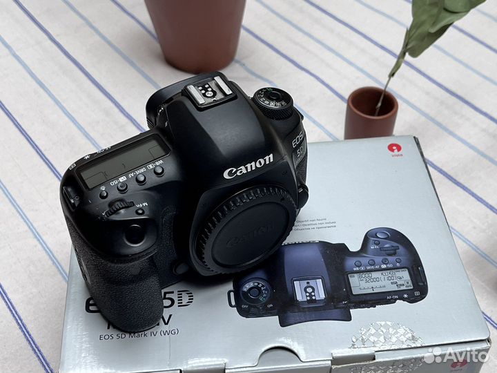 Canon eos 5d mark iv