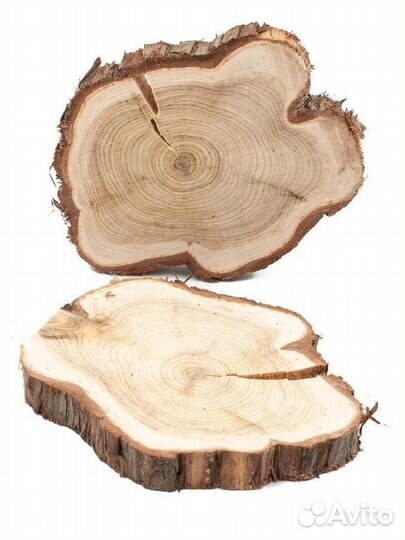 Спилы можжевельника