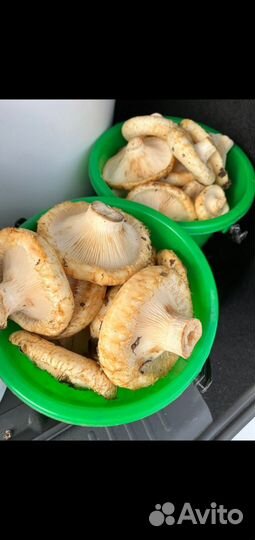 Грибы соленые