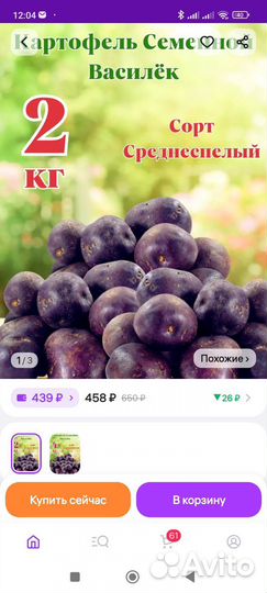 Семенной картофель