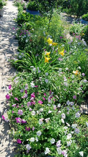 Дом 12,7 м² на участке 6,9 сот.