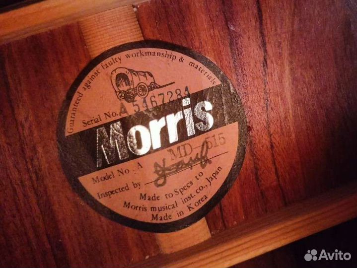 Акустическая гитара Morris md-515