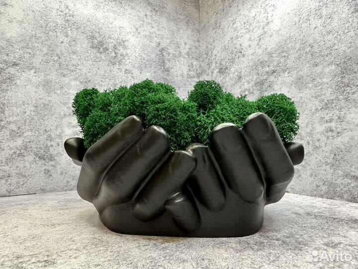 Кашпо руки со стабилизированным мхом
