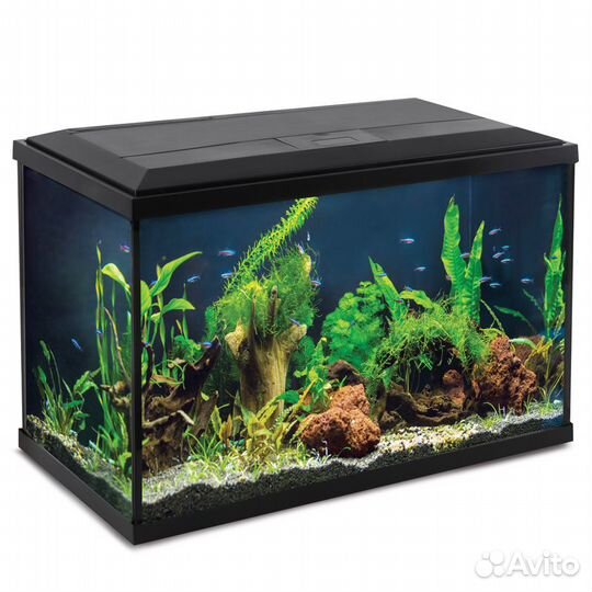 Аквариум