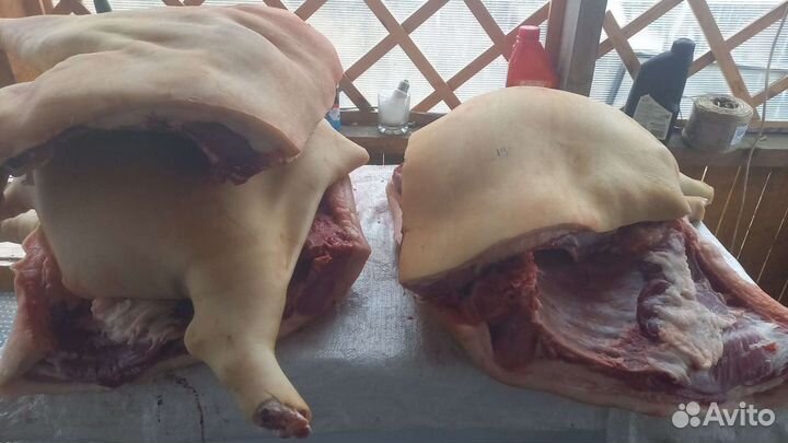 Продам мясо свинины