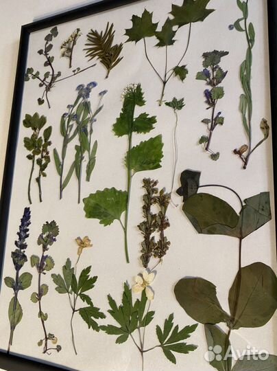 Панно из сухоцветов