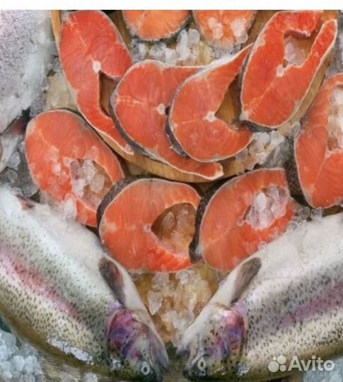 Рыба свежемороженая