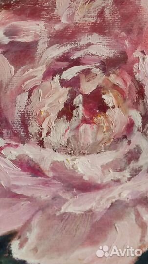 Картина маслом Les Pivoines