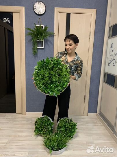 Подвесные сады вертикальное озеленение