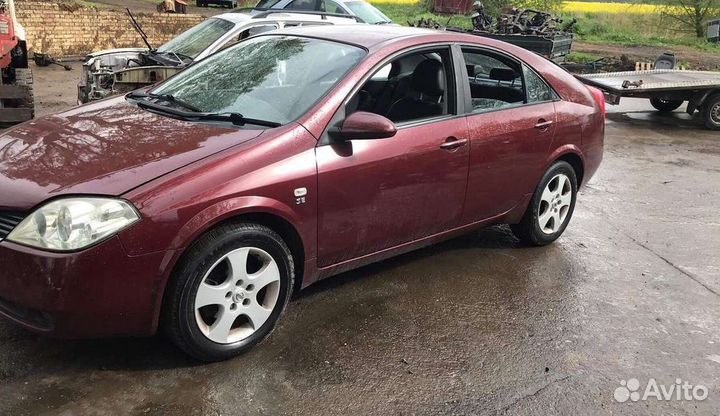 Nissan Primera P12 2005 г на запчасти