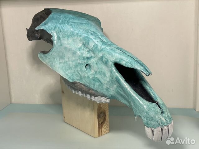 Череп лошади