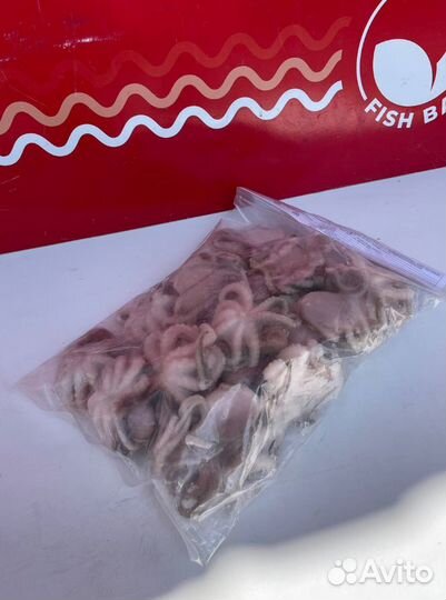 Осьминог молодой 1 кг. с/м