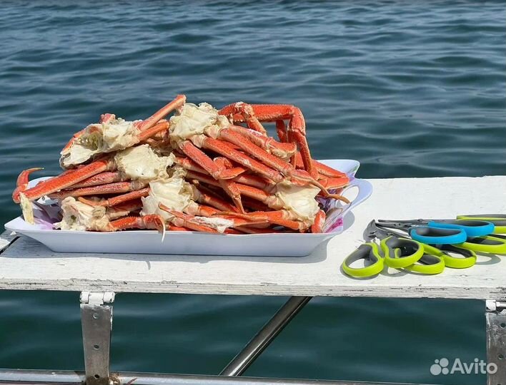 Тур путевка на Камчатку летом 5-9 дн