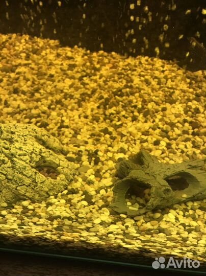 Аквариумный грунт