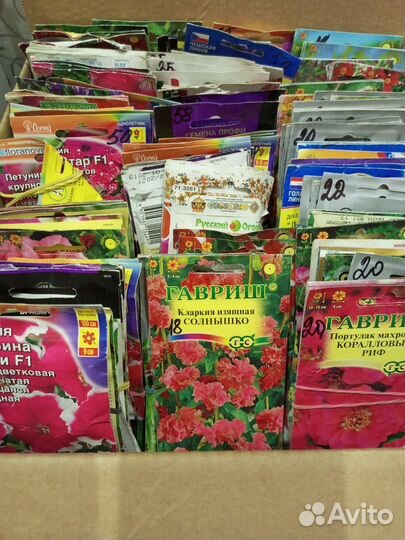 Семена на рассаду